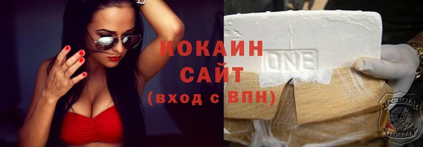 дживик Белокуриха