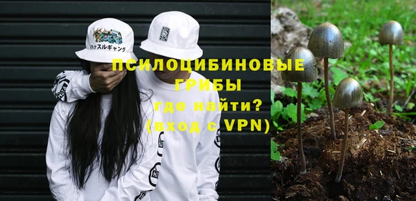 дживик Белокуриха