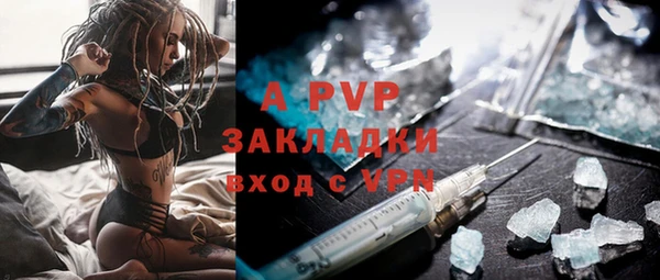 дживик Белокуриха