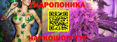 кокс Волжск